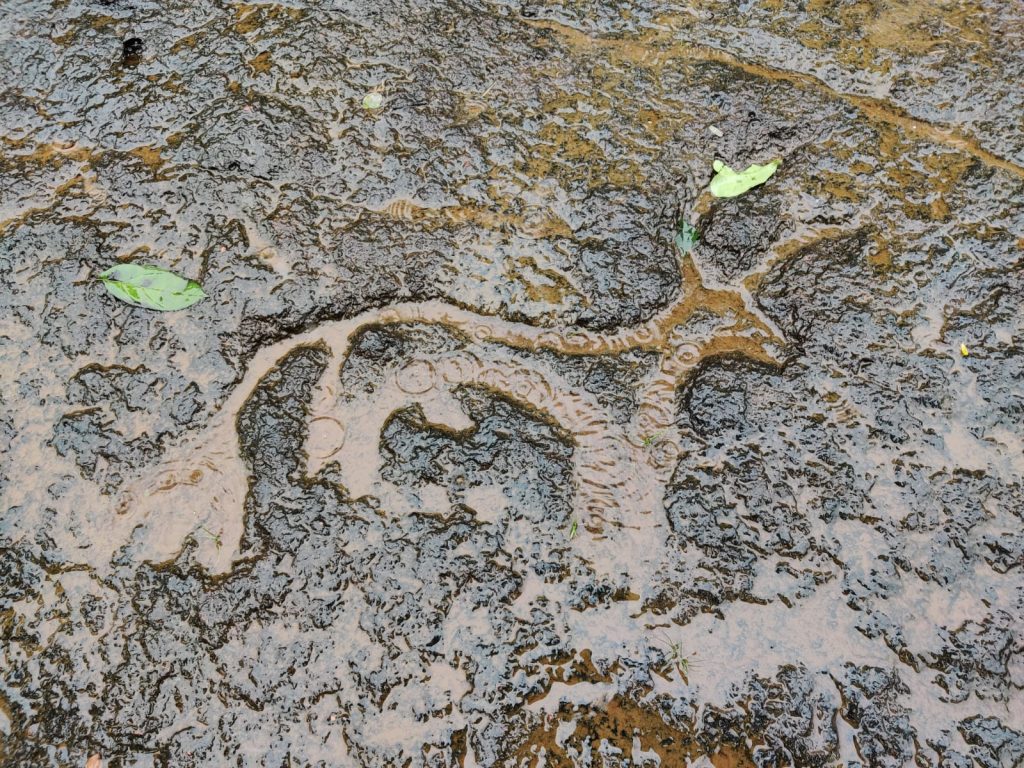 Carvings found at Rivona during the monsoon season in Goa