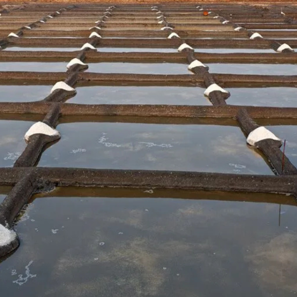 Salt-Making Traditions in Goa: A Journey through History and Flavour