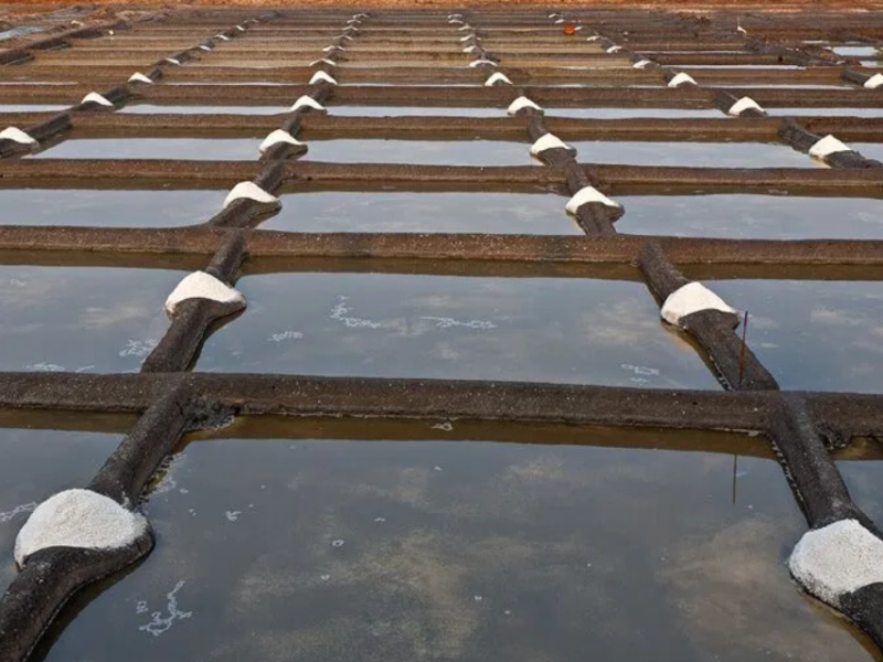 Salt-Making Traditions in Goa: A Journey through History and Flavour