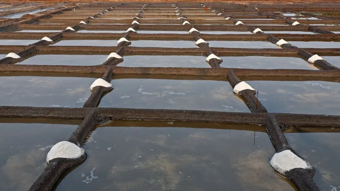 Salt-Making Traditions in Goa: A Journey through History and Flavour