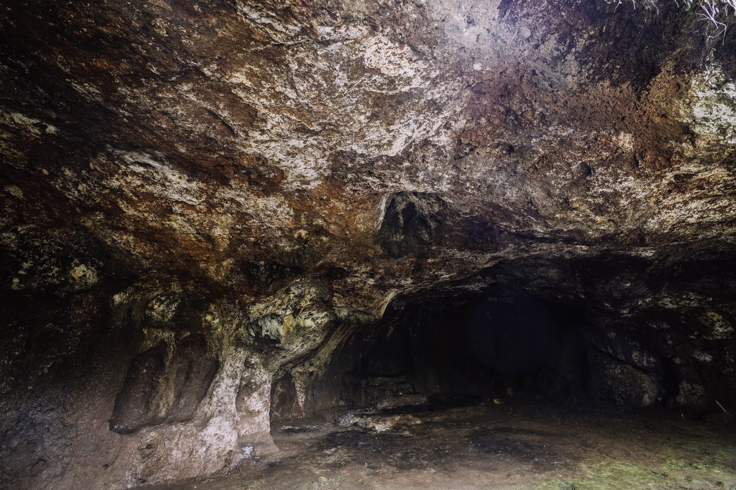 the image shows offbeat goa at buddhist caves in rivona