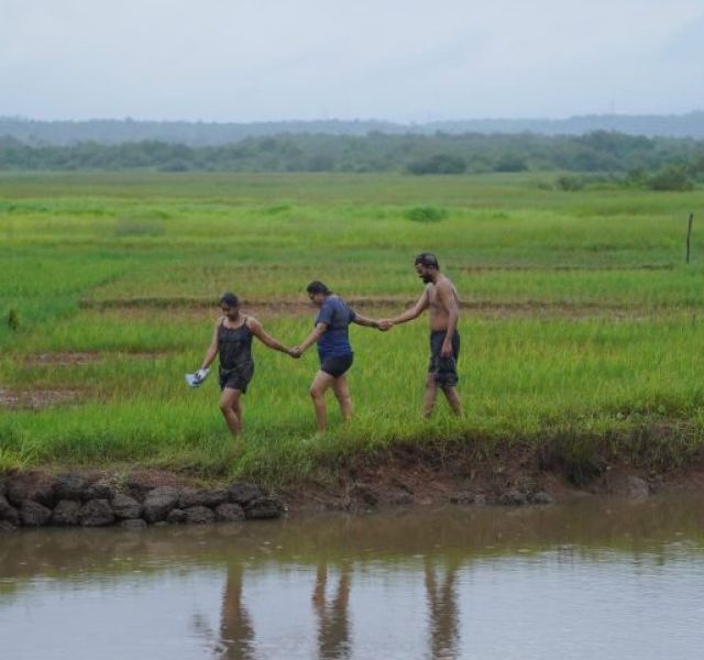 The magic of a mud bath in Goa!