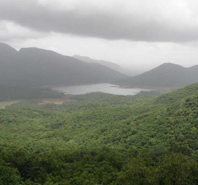 5 facts about the  Western Ghats of Goa!