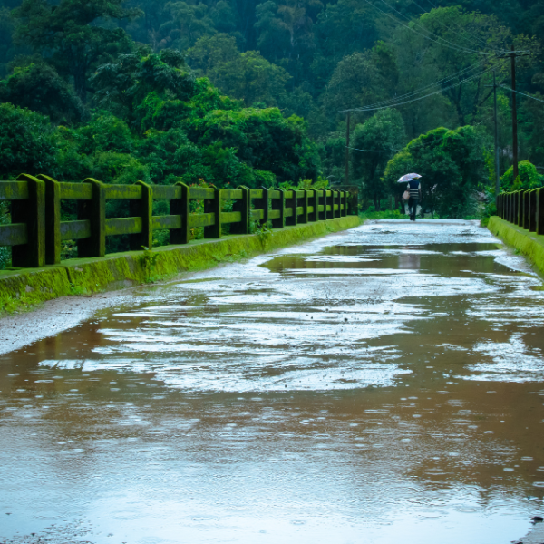 Monsoon Festivals in Goa