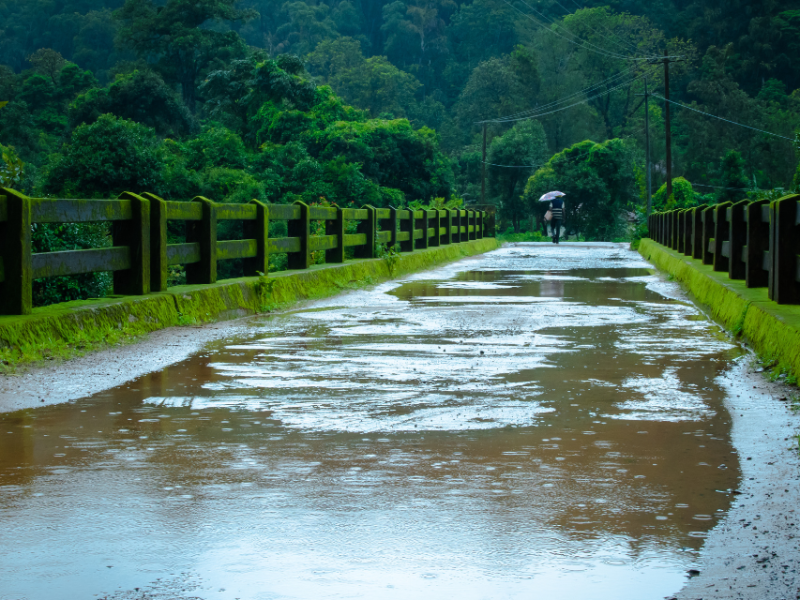 Monsoon Festivals in Goa