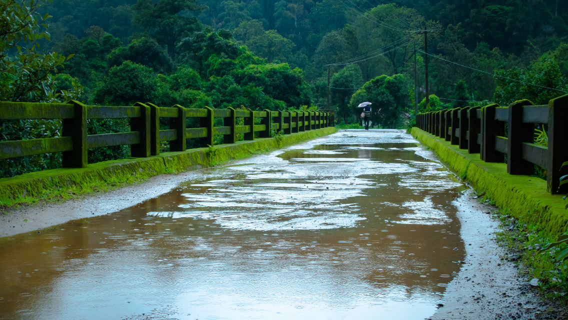 Monsoon Festivals in Goa