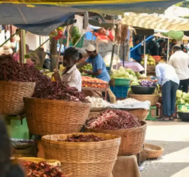 Purument : Pre-Monsoon Goan Ritual