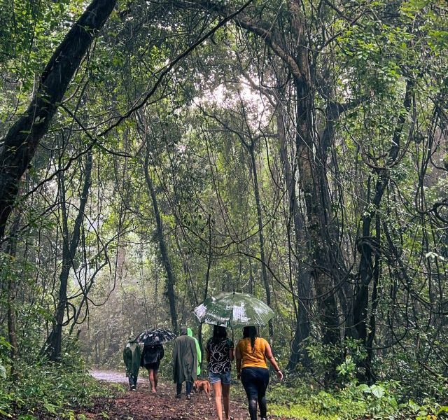 5 Close to Nature Experiences in Goa – Monsoon Edition!