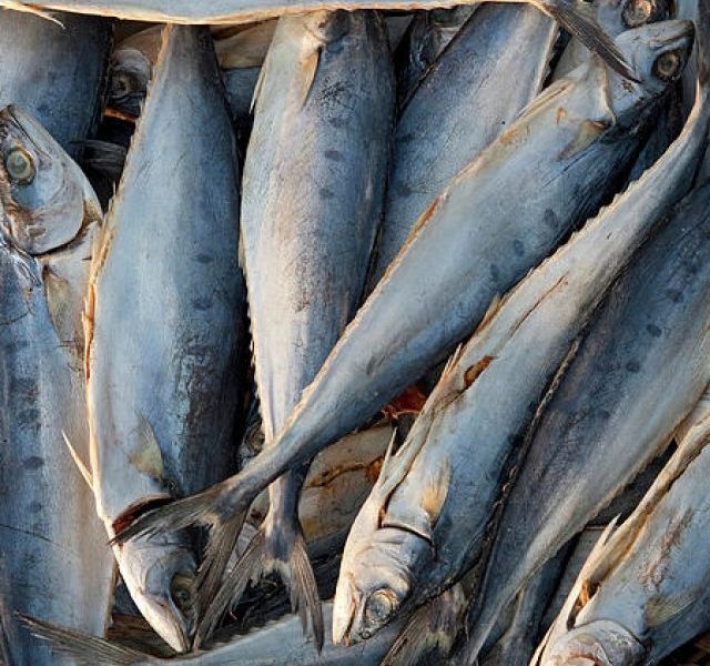 Dry Fish Market of Goa!