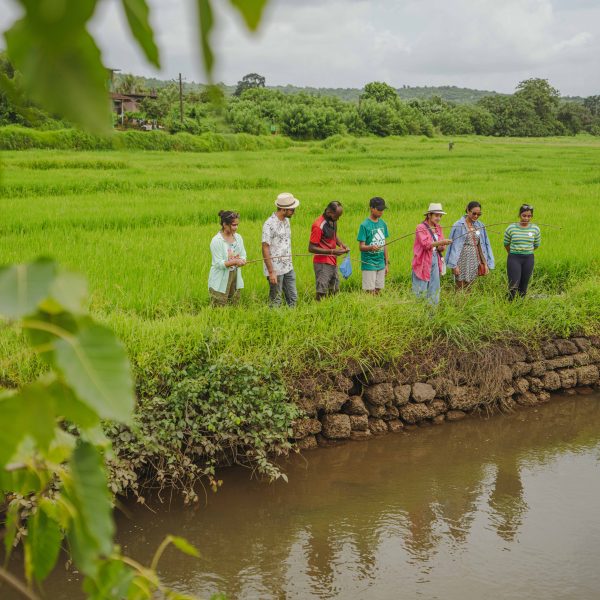 Fishing in Goa: Exploring Goa’s Rich Fishing Culture