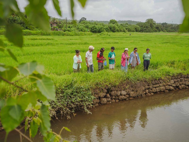 Fishing in Goa: Exploring Goa’s Rich Fishing Culture