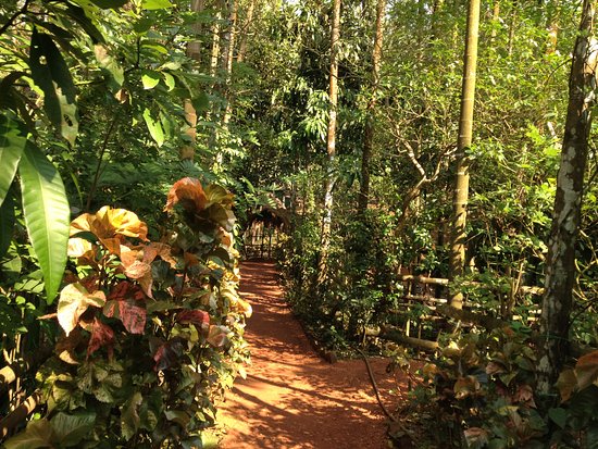 spice plantations in goa