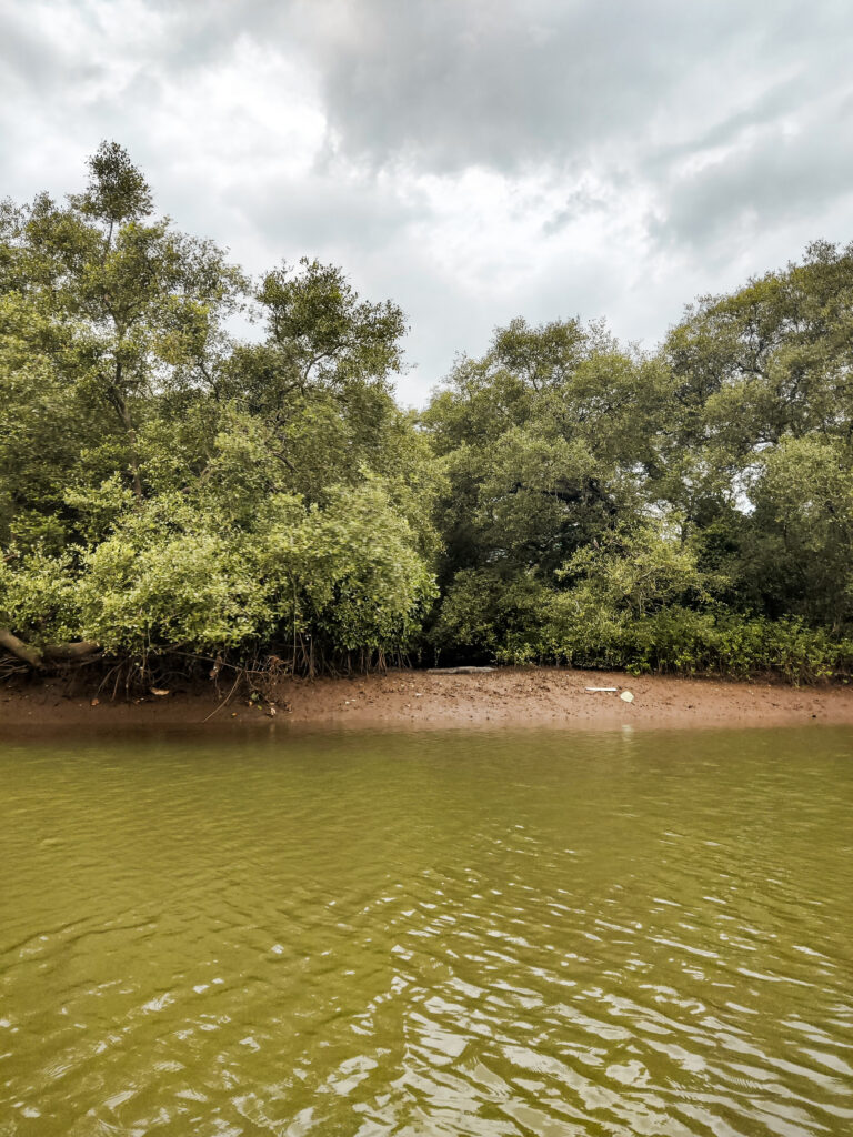 Chorao Island Goa