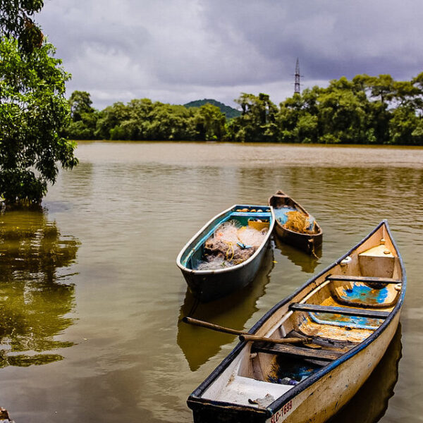 From Clubs to Culture: A Soulful Adventure on Goa’s Chorao Island