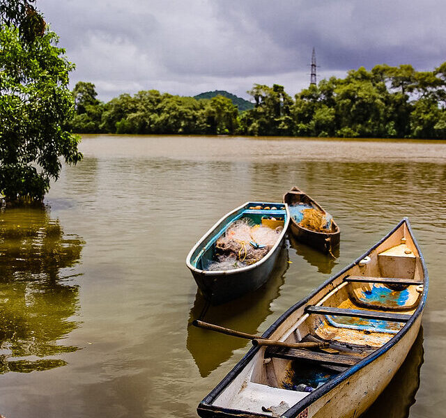 From Clubs to Culture: A Soulful Adventure on Goa’s Chorao Island