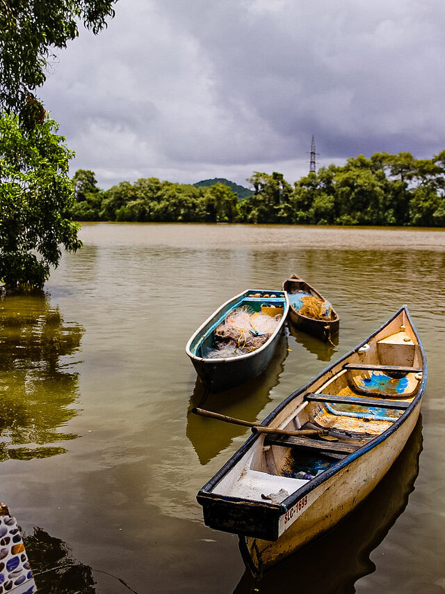 From Clubs to Culture: A Soulful Adventure on Goa’s Chorao Island