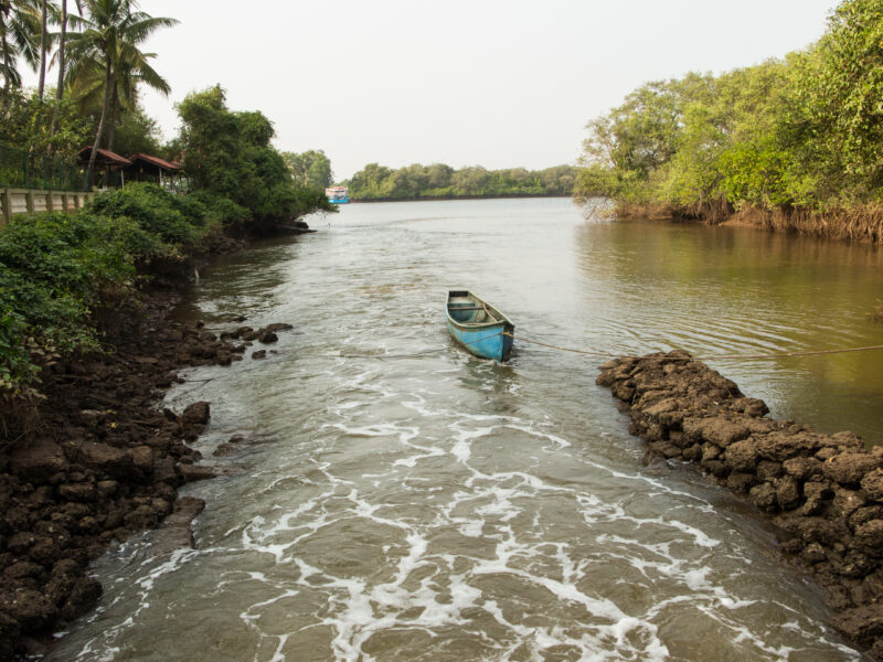 Rethinking Goa: Why Boycotting Isn’t the Answer—Experiential Tourism Is