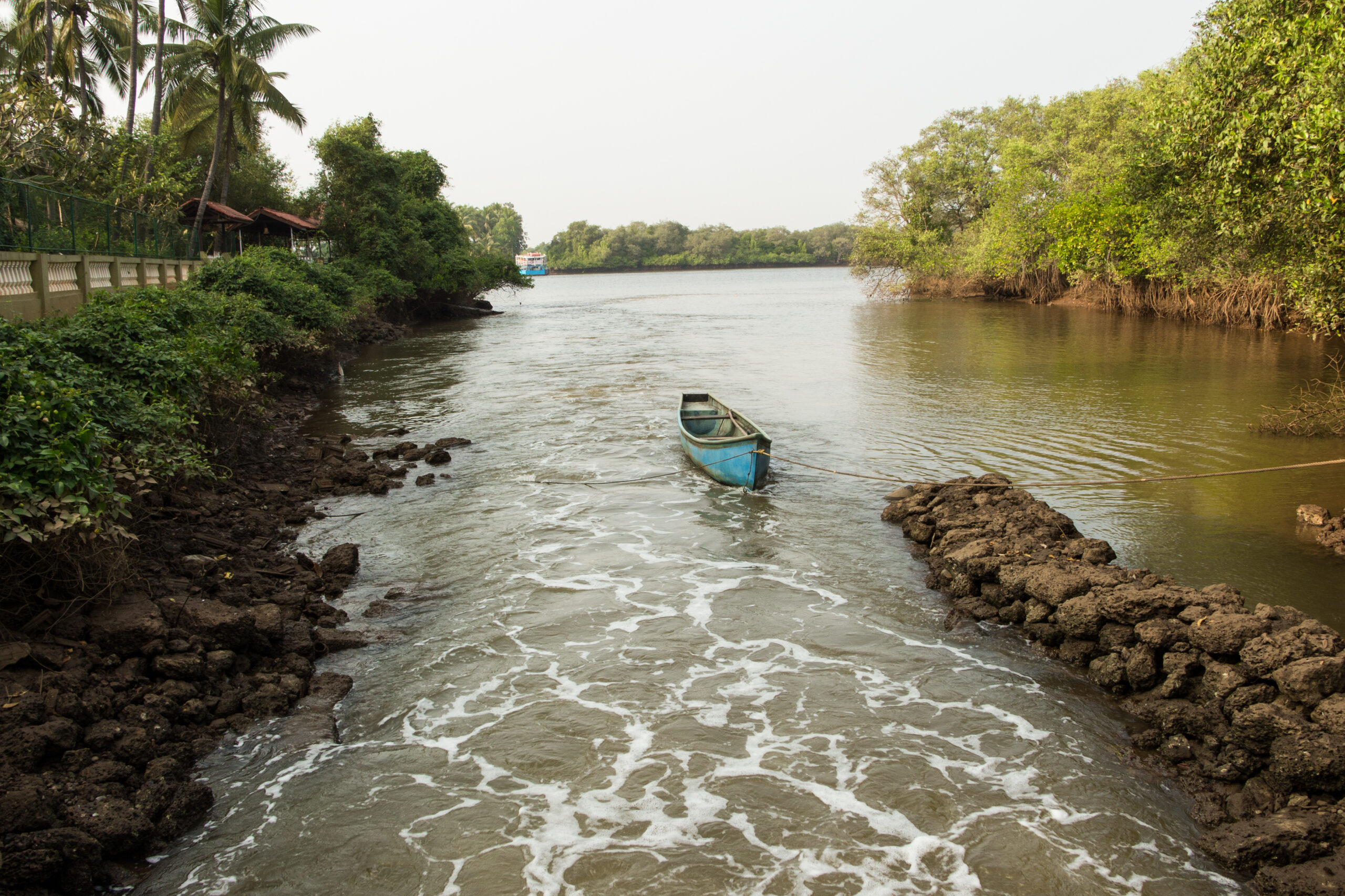 Rethinking Goa: Why Boycotting Isn’t the Answer—Experiential Tourism Is