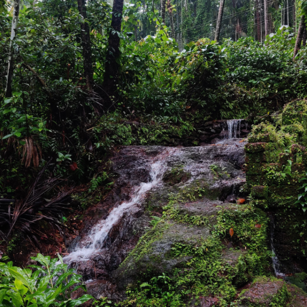 Village Trails in Goa