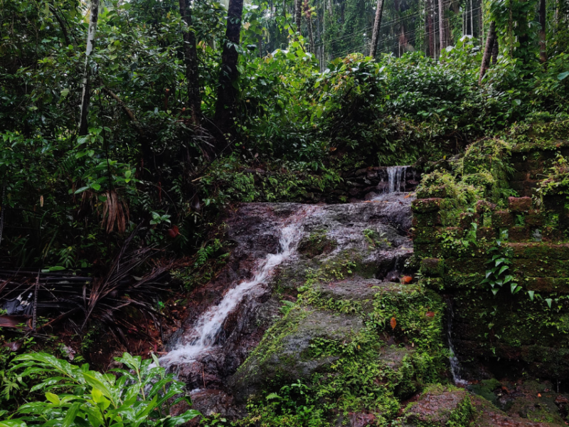 Village Trails in Goa