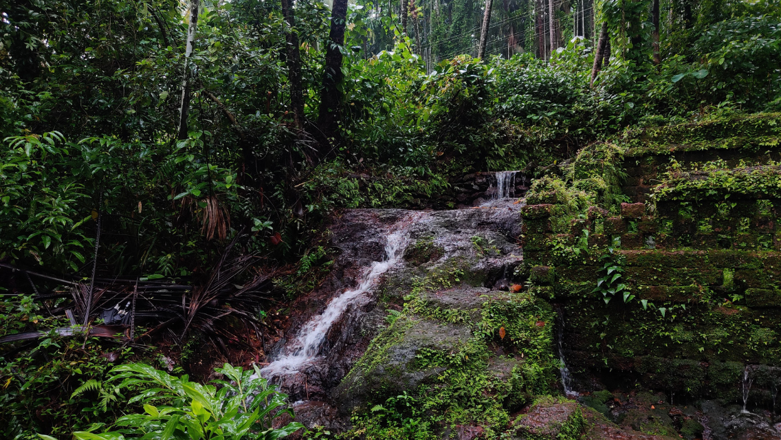 Village Trails in Goa