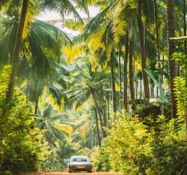 7-Day Goa Itinerary: A Journey Beyond the Beaches