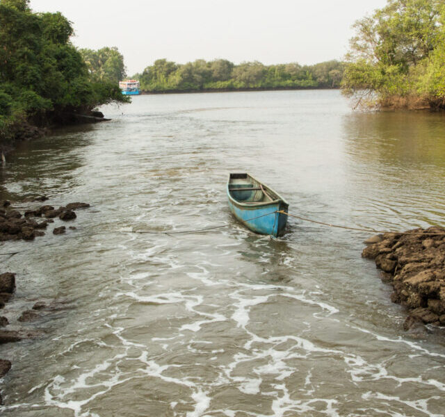 Things To Do In Chorao Island Goa