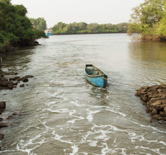 Nature Trail at Chorao Island