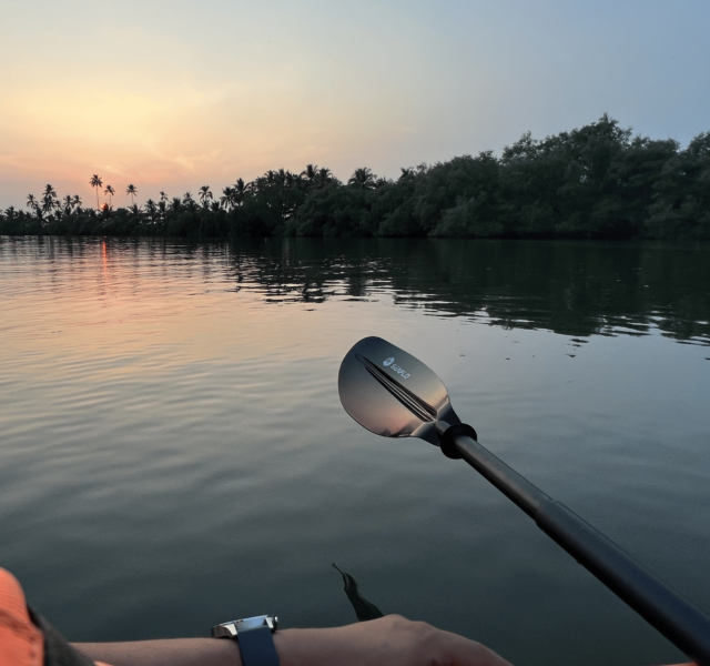 Top Kayaking Spots in Goa