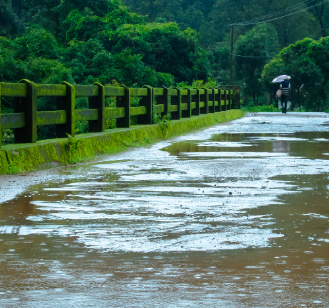 Road Tripping Through Goa’s Scenic Routes